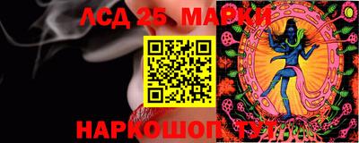 тгк Кингисепп
