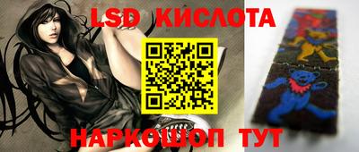 тгк Кингисепп