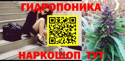 тгк Кингисепп