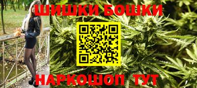тгк Кингисепп