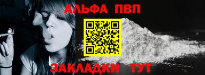 тгк Кингисепп