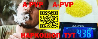 тгк Кингисепп