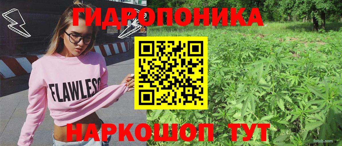 Канабис сатива Кропоткин